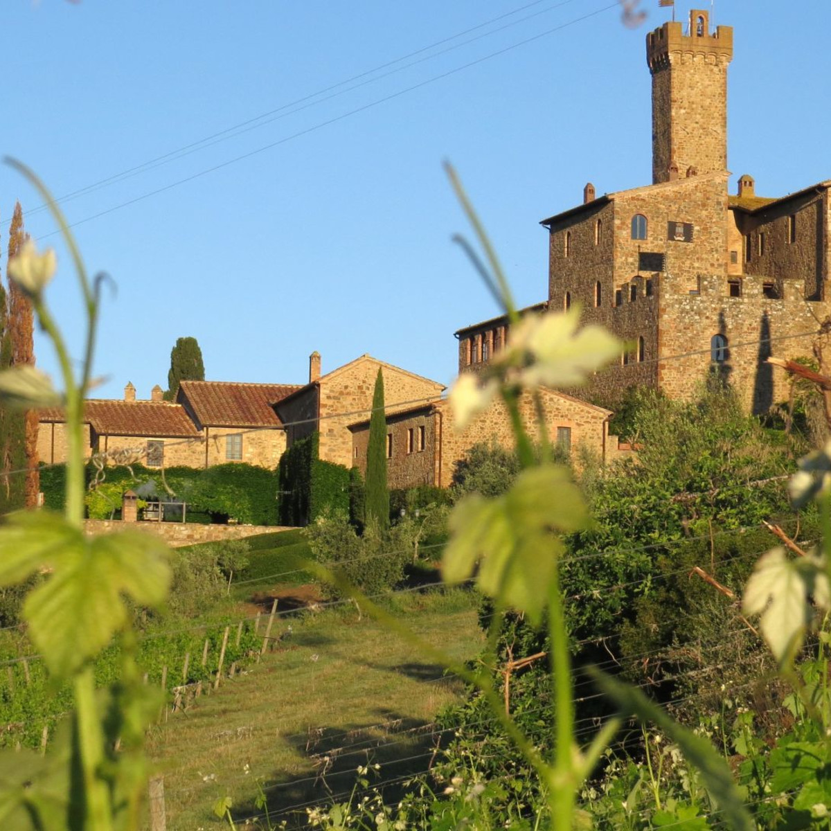 Castello Banfi Il Borgo