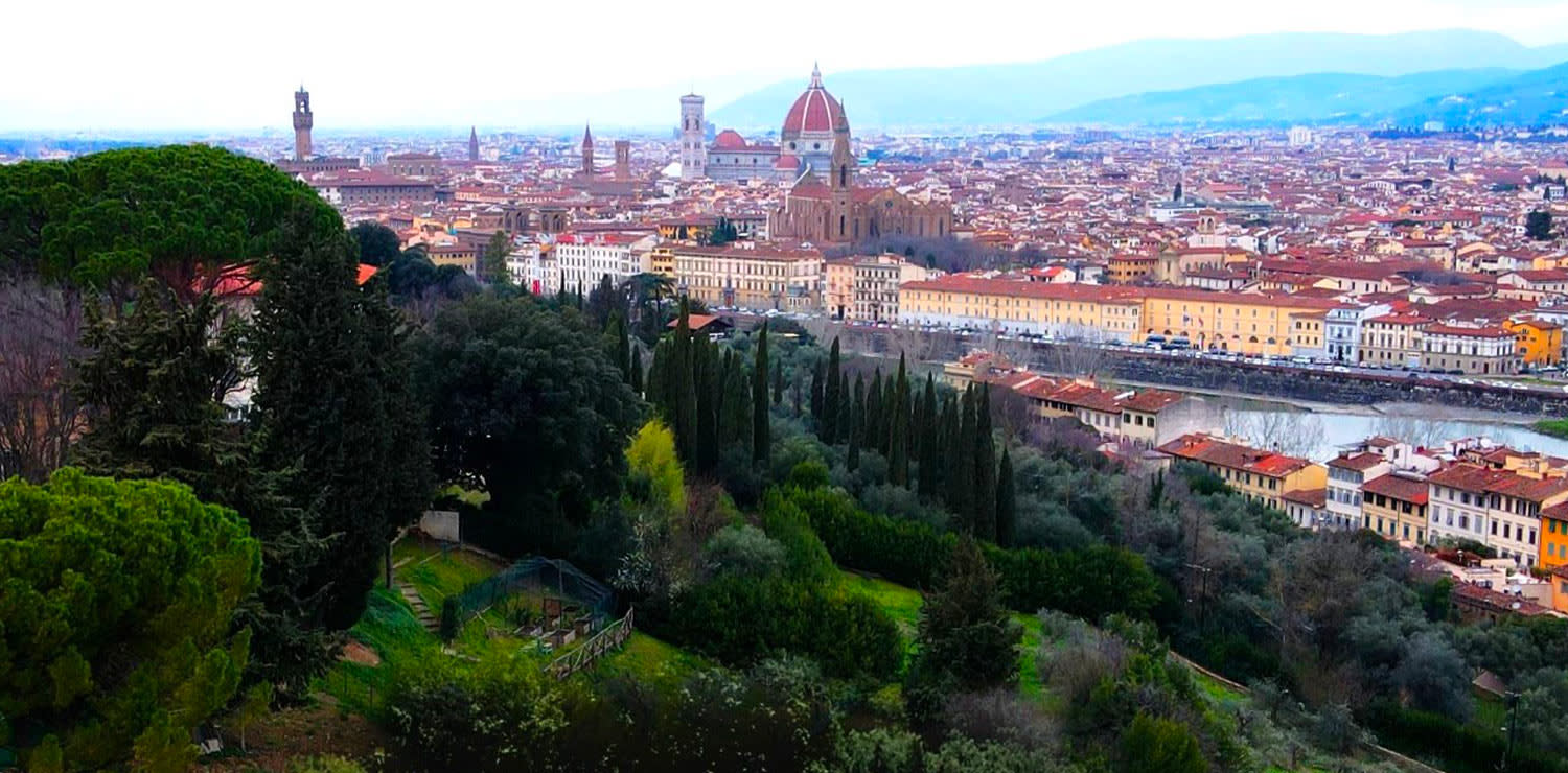 Vigna Michelangelo, Firenze