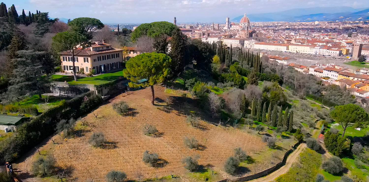 Vigna Michelangelo, la prima vigna urbana moderna a Firenze