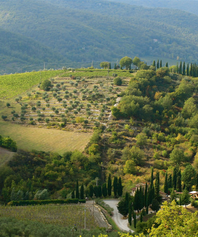 radda in chianti 