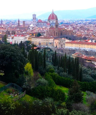 Vigna Michelangelo, Firenze