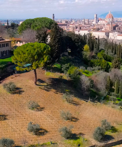 Vigna Michelangelo, la prima vigna urbana moderna a Firenze