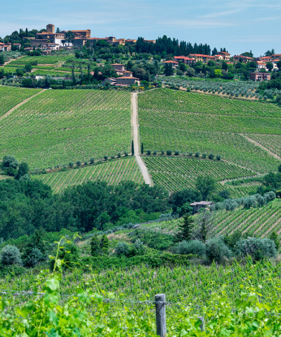 Vino al Vino In Cantina (ph. Paolo Matteoni)